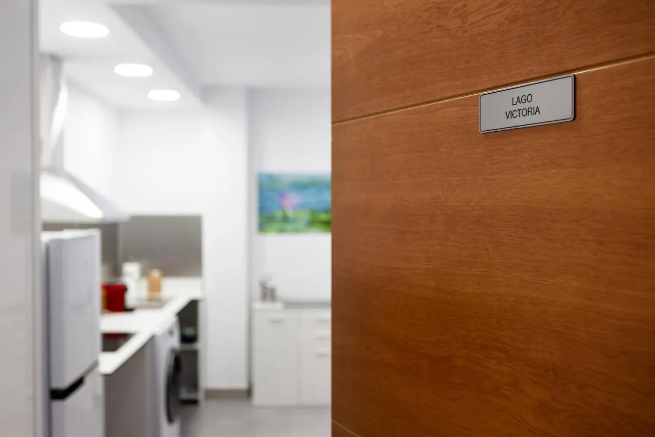 8 Lacus Victoria L'Hospitalet de Llobregat Appartement